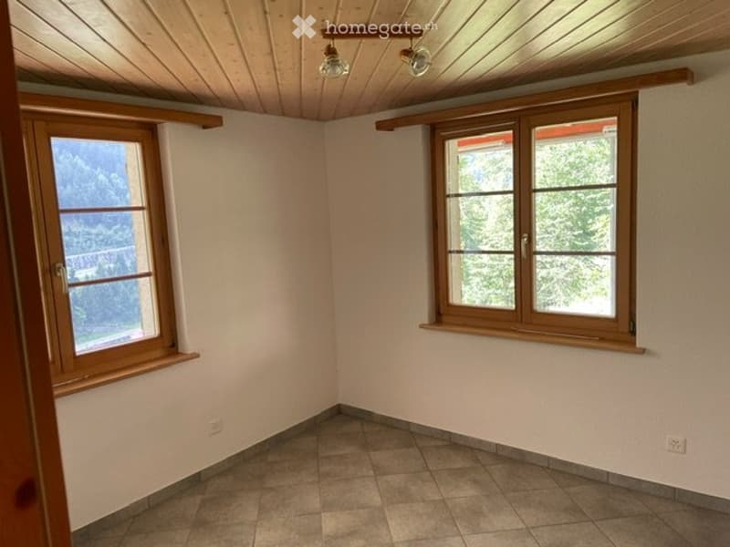 Studio in Gurtnellen (1)