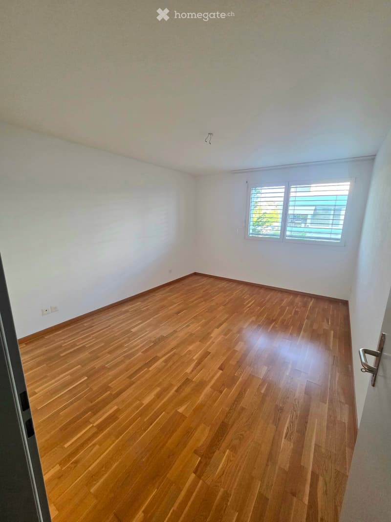 Sehr helle, gemütliche 3.5 Zimmer Wohnung (1)