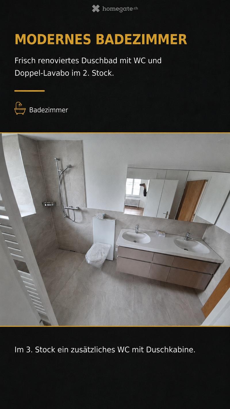 Aussergewöhnliche 8-Zimmer-Terrassenwohnung in Wald ZH (5)