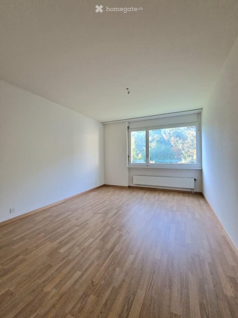 Grosszügige, 2.5-Zimmer-Wohnung in Langenthal - ab sofort (5)