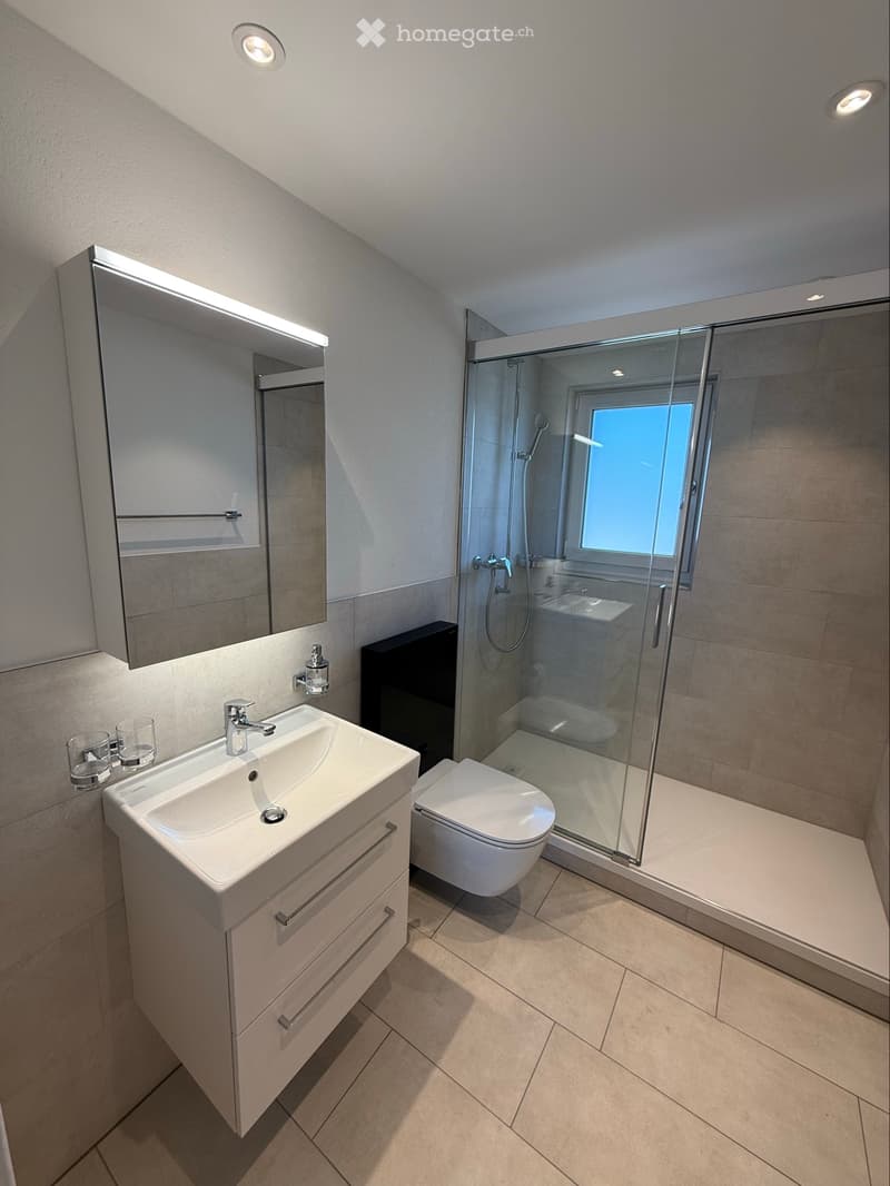 4 Zimmer Wohnung mit Dachterrasse (1)