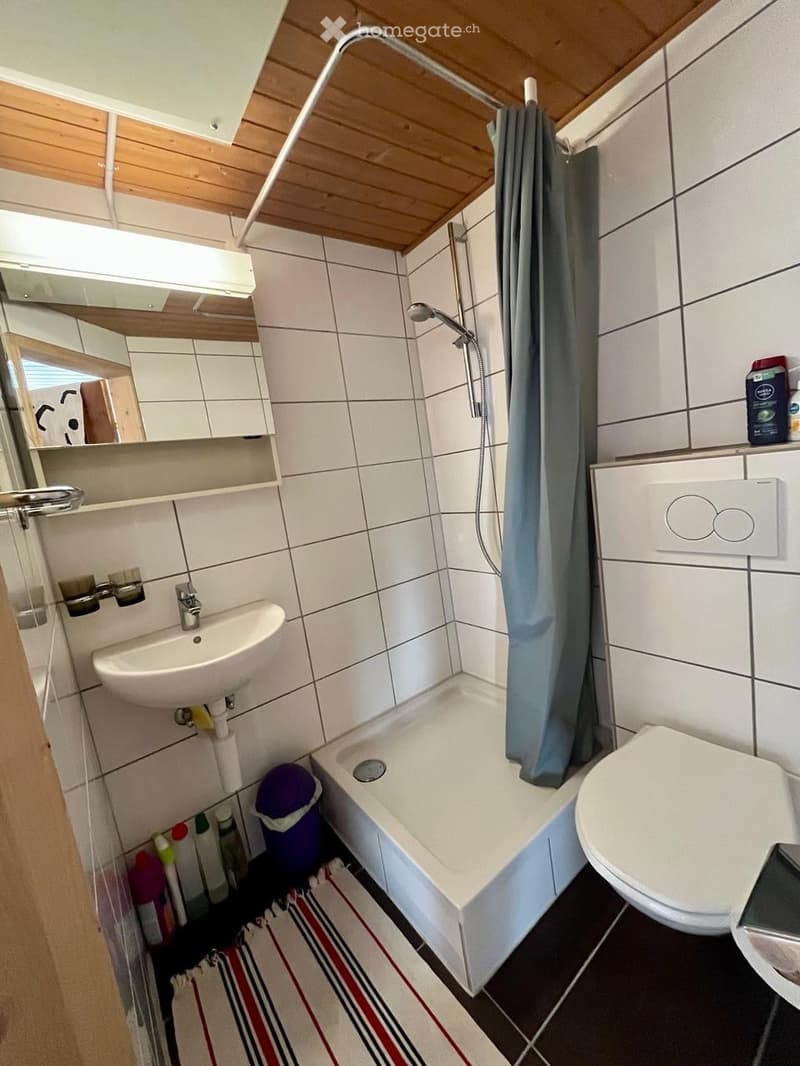 Studio in den Bergen, Nähe Davos (4)