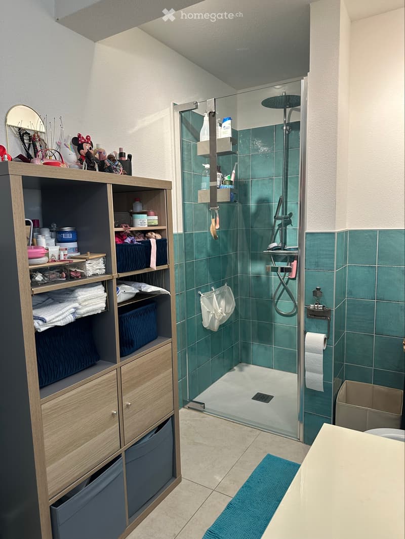 2.5 LOCALI CON GIARDINO PRIVATO, Sant'Antonino (11)