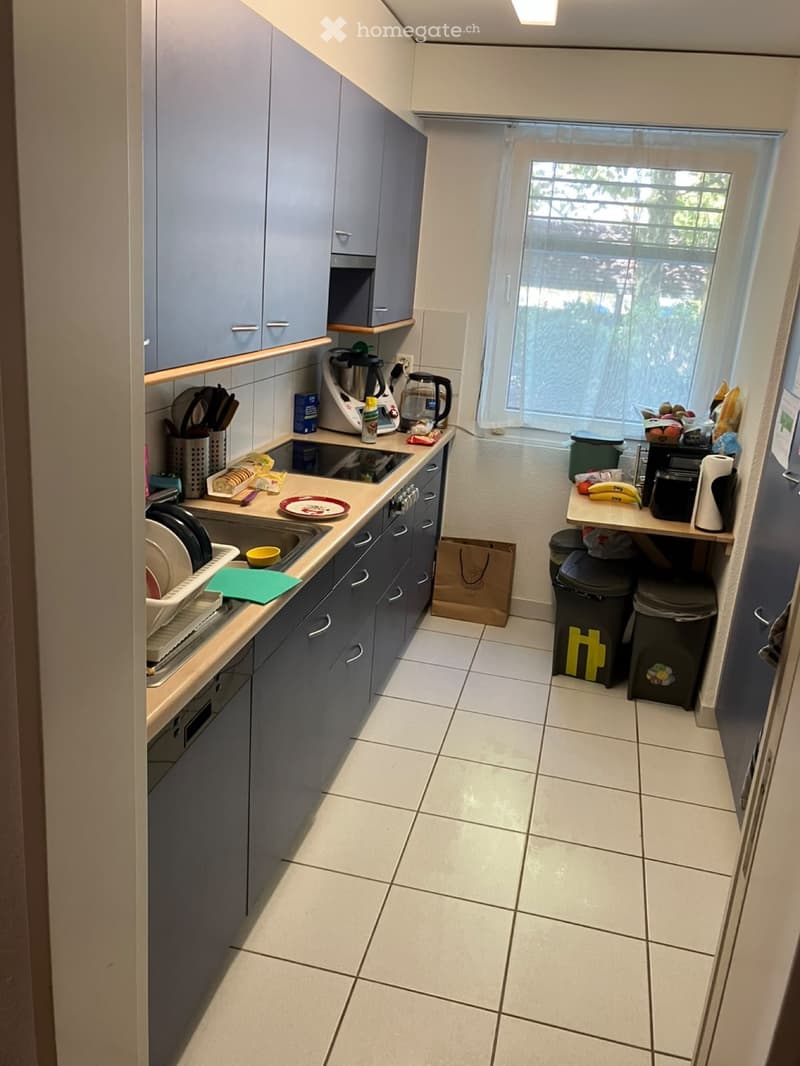 4 1/2 Zimmer EG Wohnung per 1.12 (3)