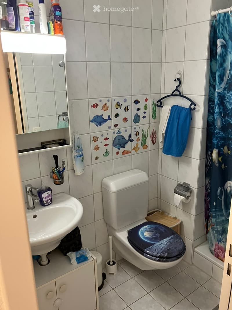 4 1/2 Zimmer EG Wohnung per 1.12 (5)