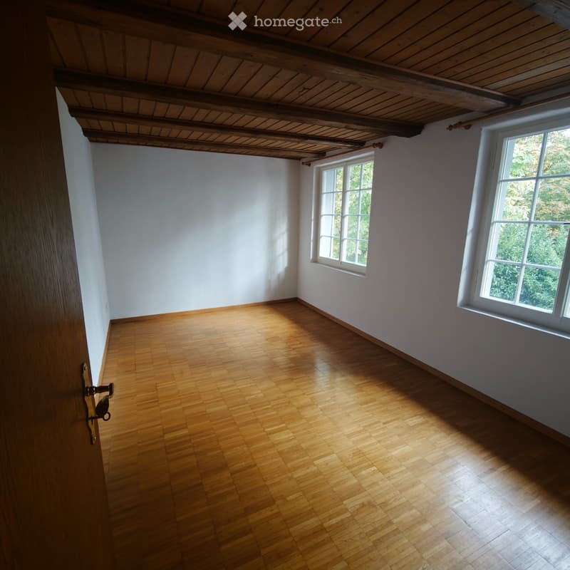 Helle & grosszügige 4.5-Zimmer-Wohnung (90 m²) im 1. OG (2)