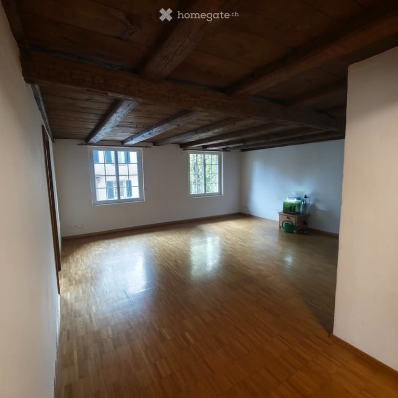 Helle & grosszügige 4.5-Zimmer-Wohnung (90 m²) im 1. OG (1)