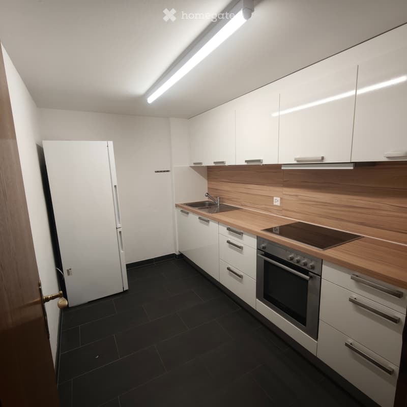 Helle & grosszügige 4.5-Zimmer-Wohnung (90 m²) im 1. OG (5)