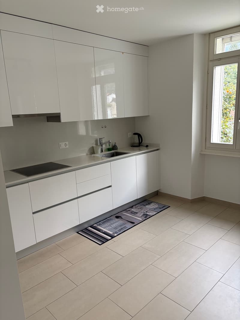 SUBENTRANTE CERCASI APPARTAMENTO 4,5 LOCALI (140 m²) (3)