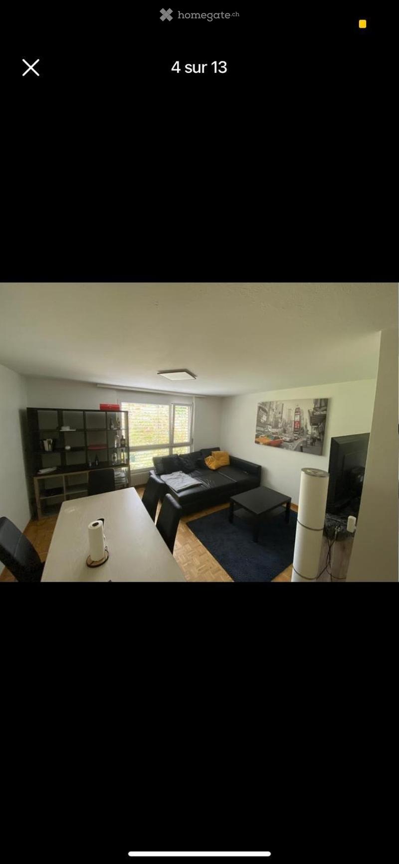 3-Bedroom Apartment in St. Gallen Looking for 3 New Tenants (4)