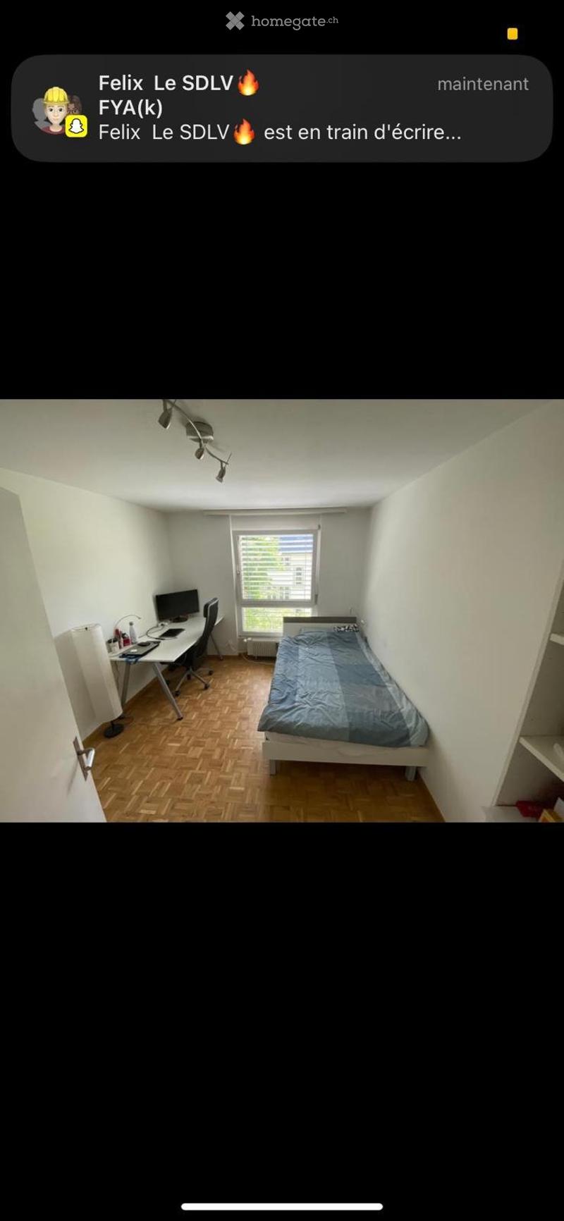 3-Bedroom Apartment in St. Gallen Looking for 3 New Tenants (2)