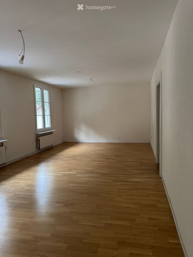 Grosszügige, 3.5-Zimmer-Wohnung in Hölstein (2)