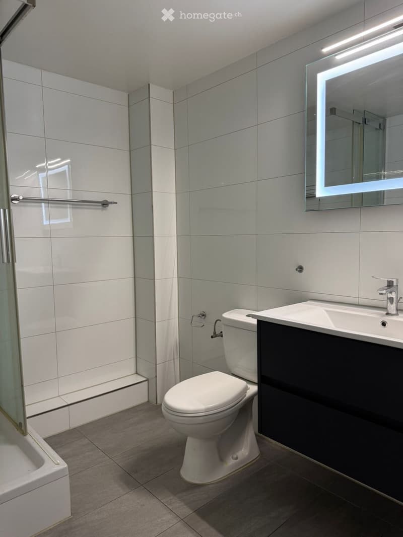 Grosszügige, 3.5-Zimmer-Wohnung in Hölstein (5)