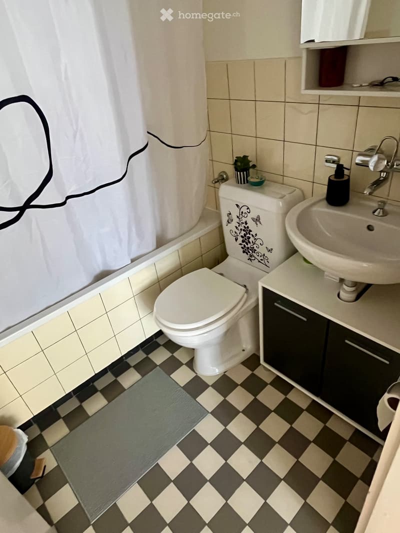 Möblierte Wohnung zur Untermiete (3)
