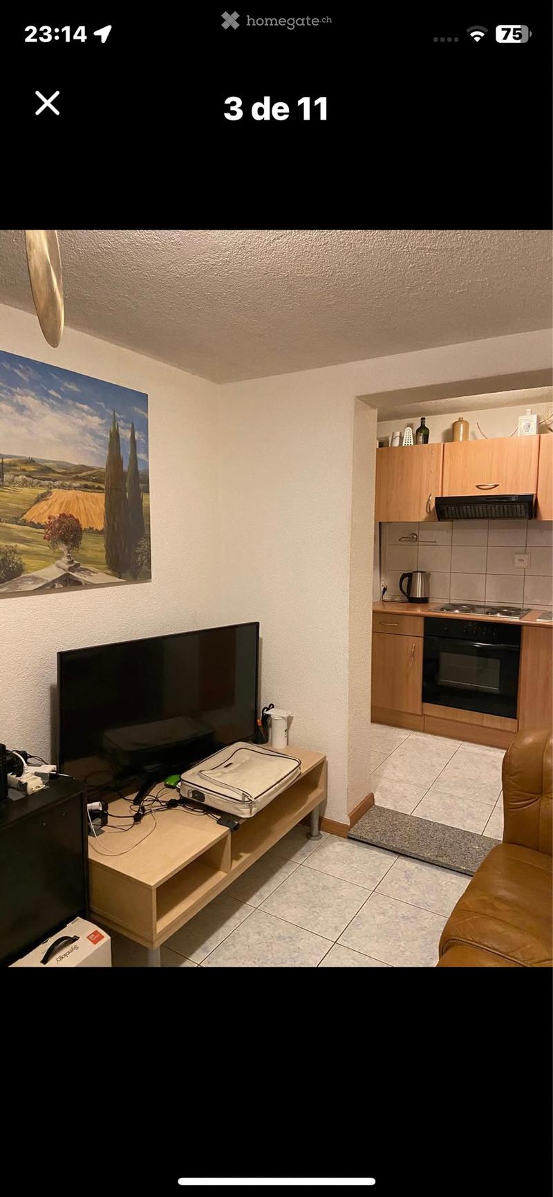 MÖBLIERTE 1,5 Zimmer Wohnung (1)