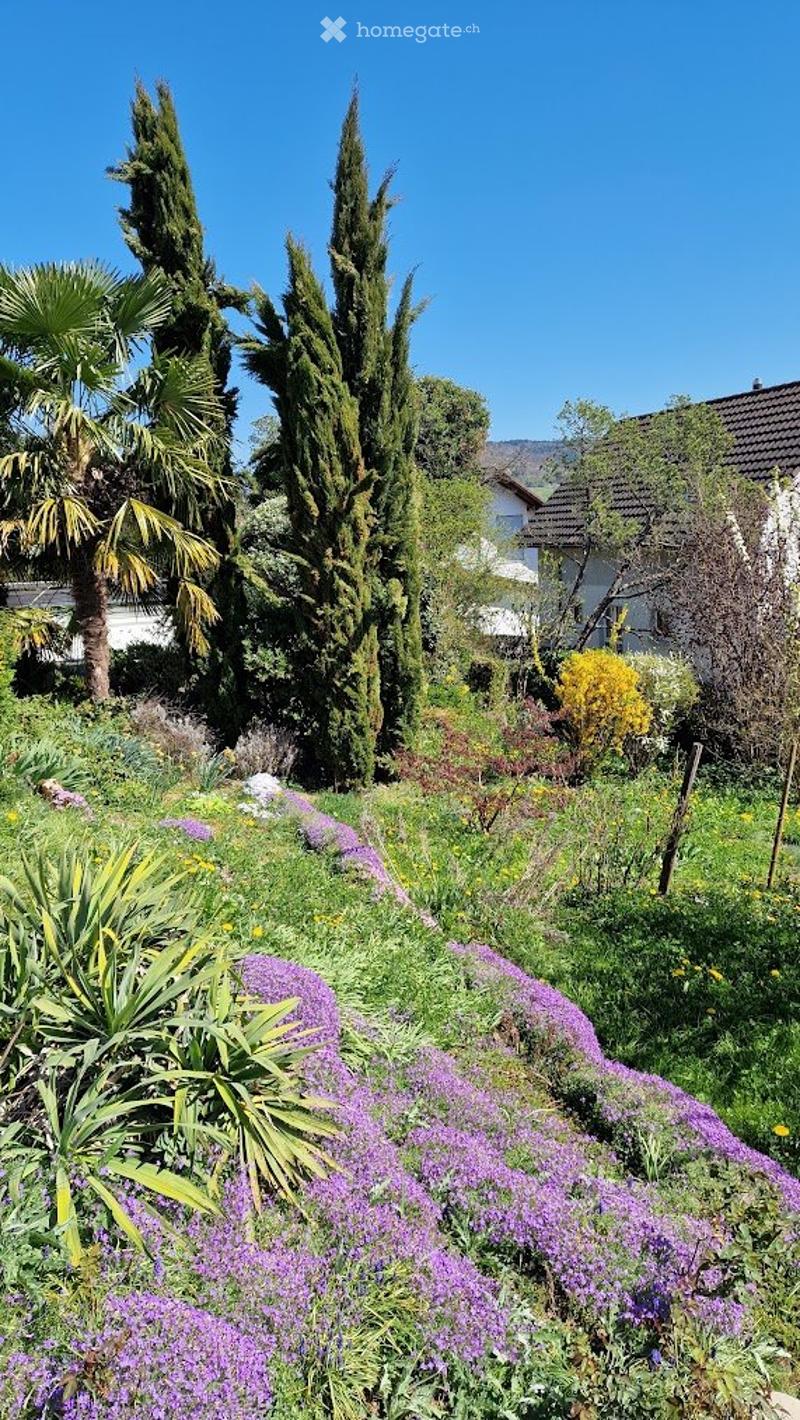 EFH Traumhaus mit Mediterraner Umgebung und Weitblick (4)