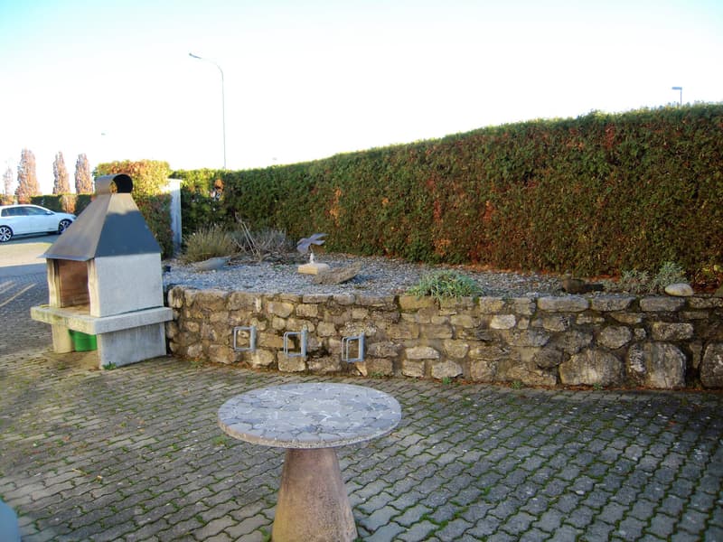 Studio in Pieterlen (5)