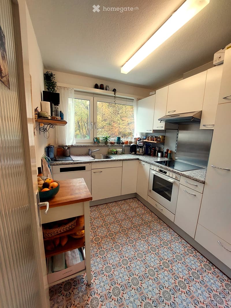 UNTERMIETE 3.5 ZIMMER  LUZERN / SUBLET 3.5 ROOMS LUCERNE (2)