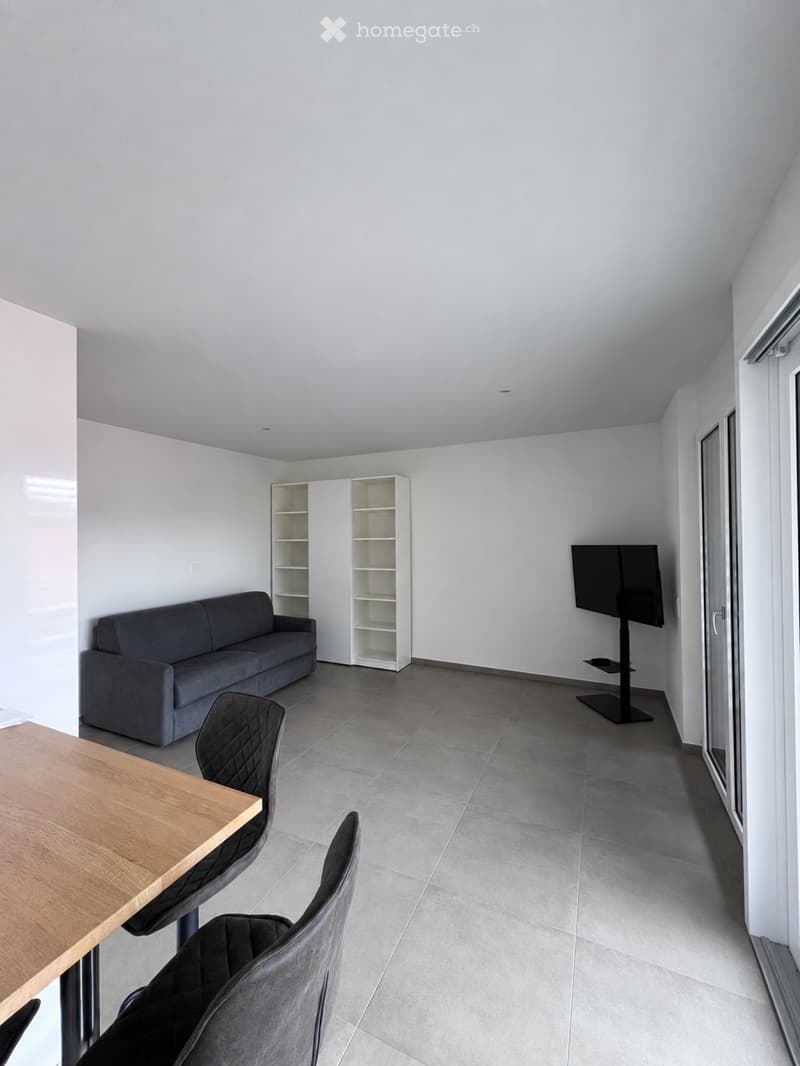 Appartamento 1.5 Locali ad Agno (1)