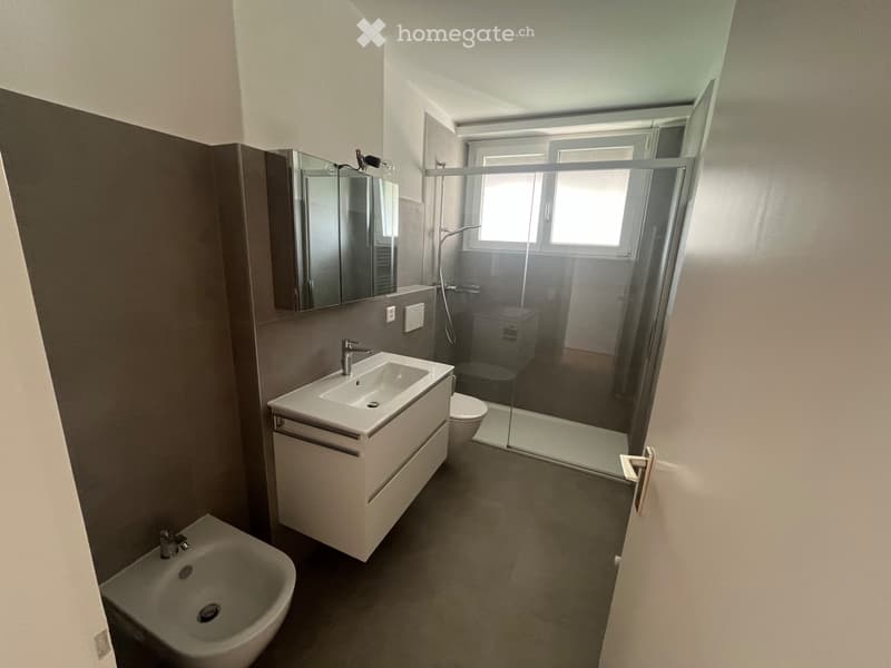 Lugano-Besso: 3.5 locali di 103 m² appena ristrutturato (3)