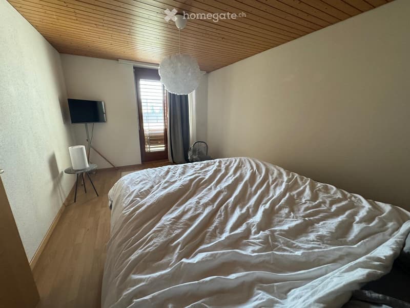 Suche Nachmieter (3)