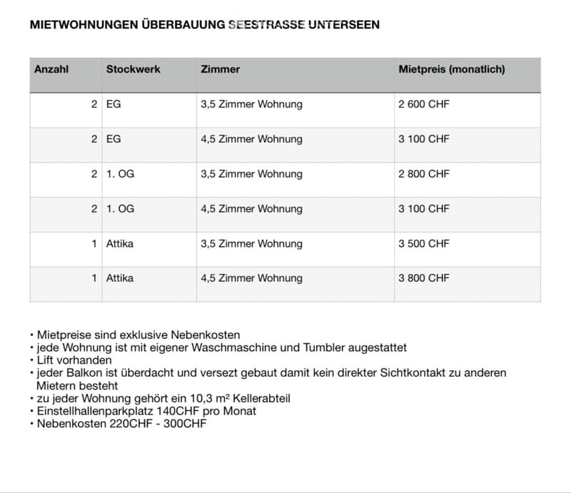Neubauwohnungen in Unterseen (2)