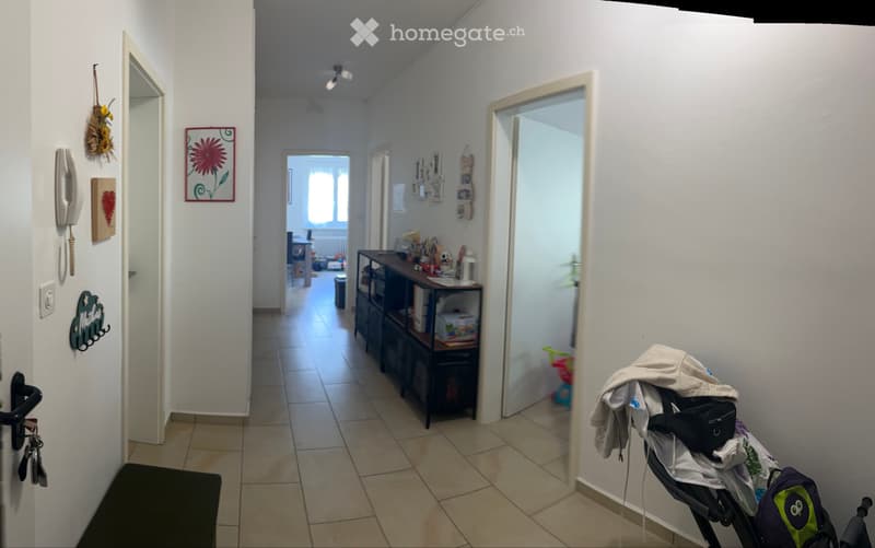 Cerco subentrante 2.5 Bellinzona (5)