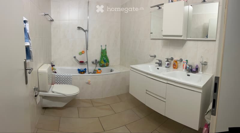 Cerco subentrante 2.5 Bellinzona (4)
