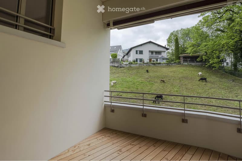 Moderne 3.5-Zimmer-Attika-Wohnung (4)