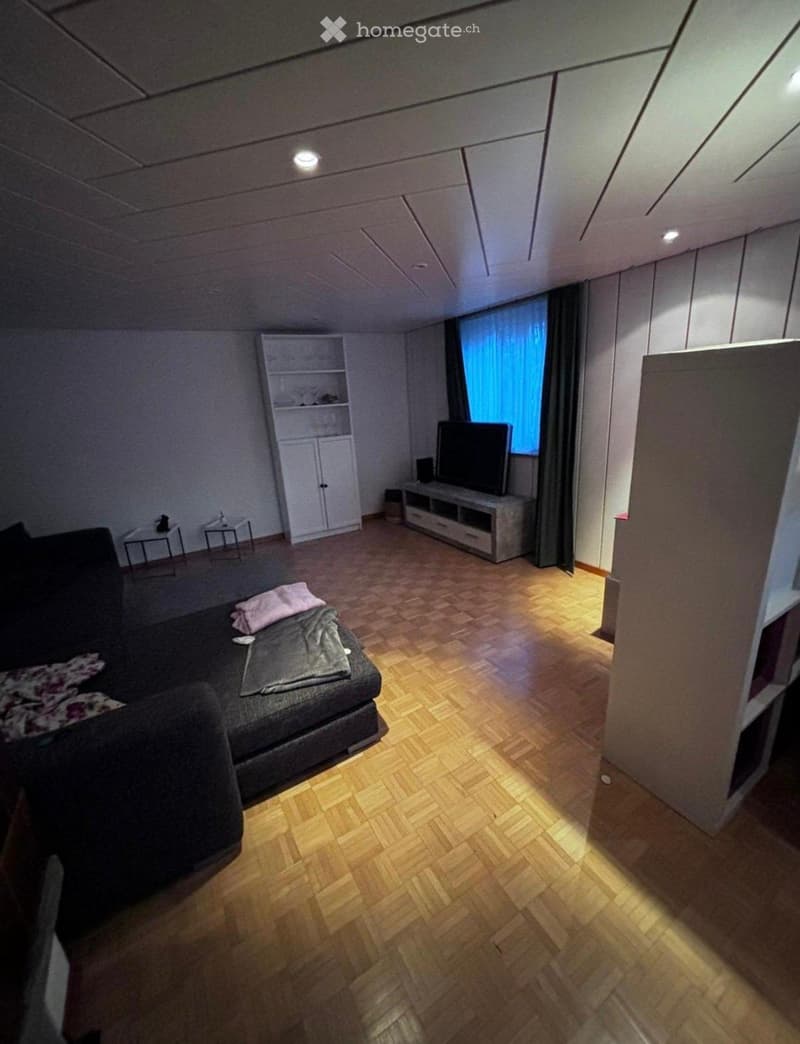 2.5-Zimmer-Wohnung in Hägglingen Parkplatz inklusive (2)