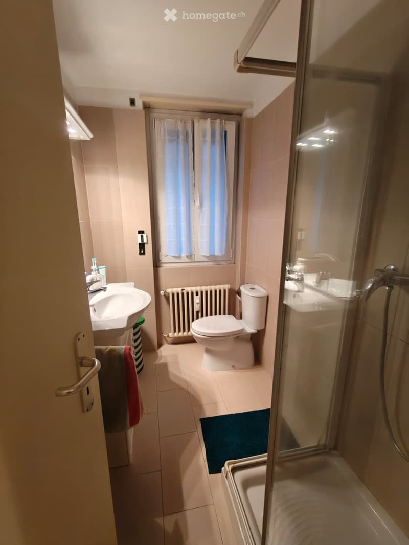 Massagno Appartamento 2.5 locali, 1km da centro di Lugano (3)
