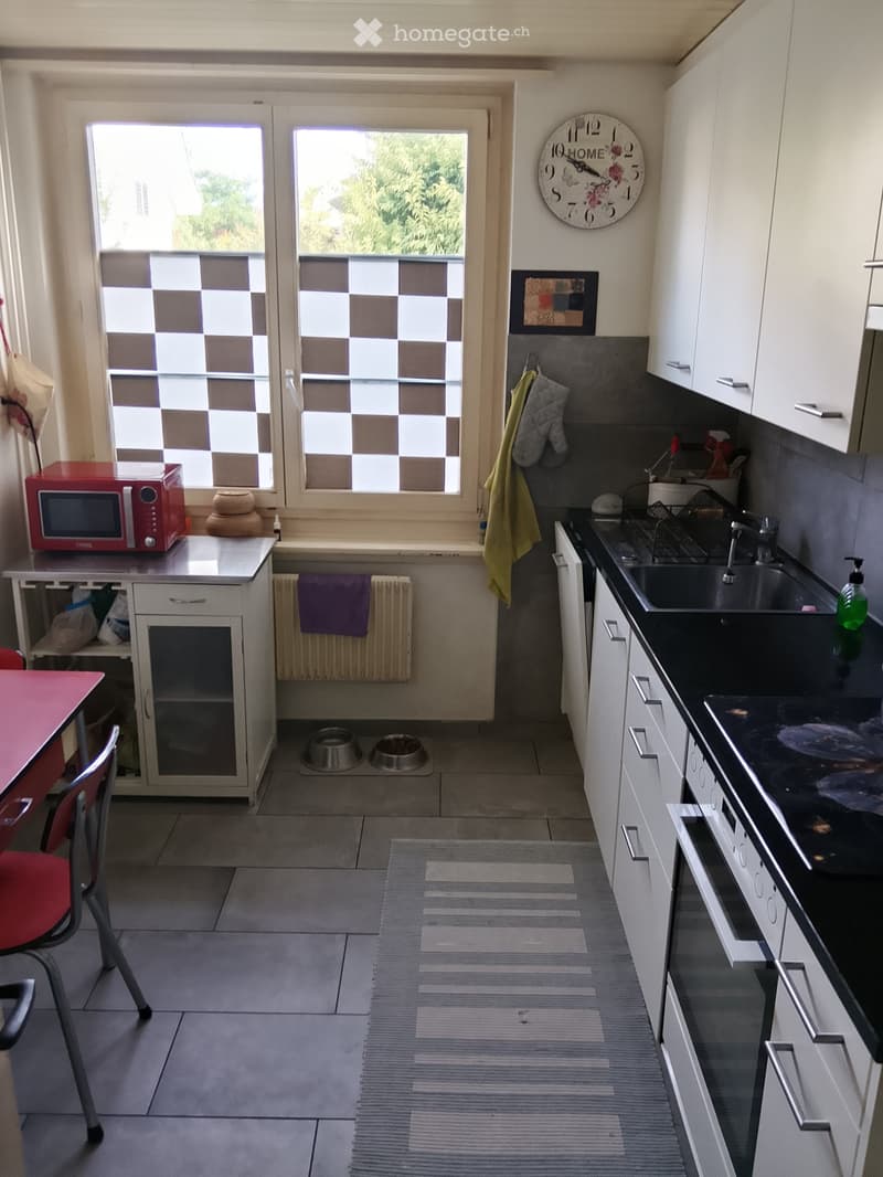 3 Zimmer Wohnung inkl. Mansarde Zimmer (4)