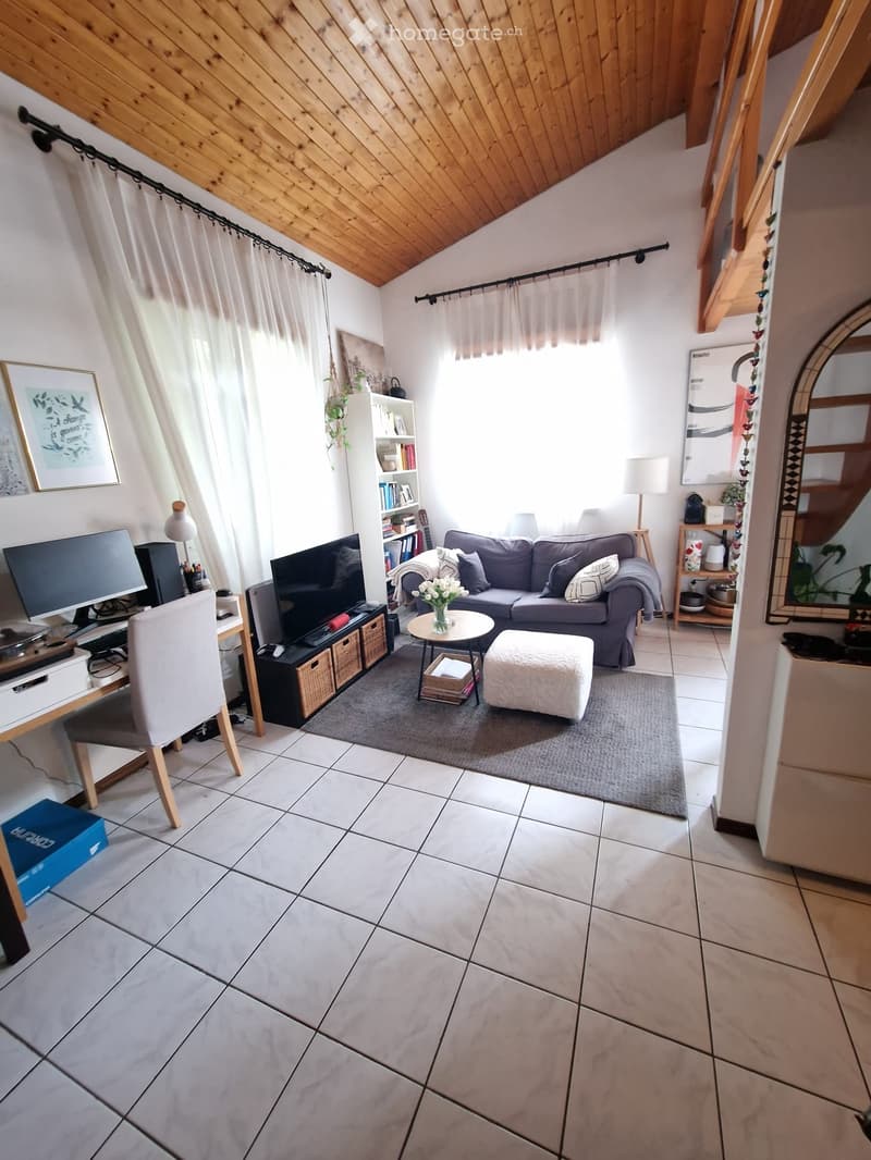 Monolocale con soppalco, terrazza e giardino comune (2)
