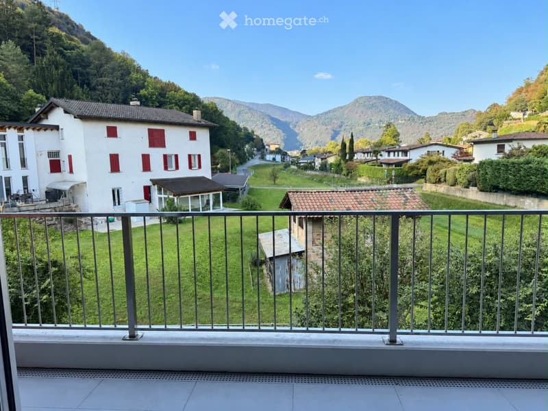 Figino/Barbengo Cerco subentrante per 3,5 locali (4)