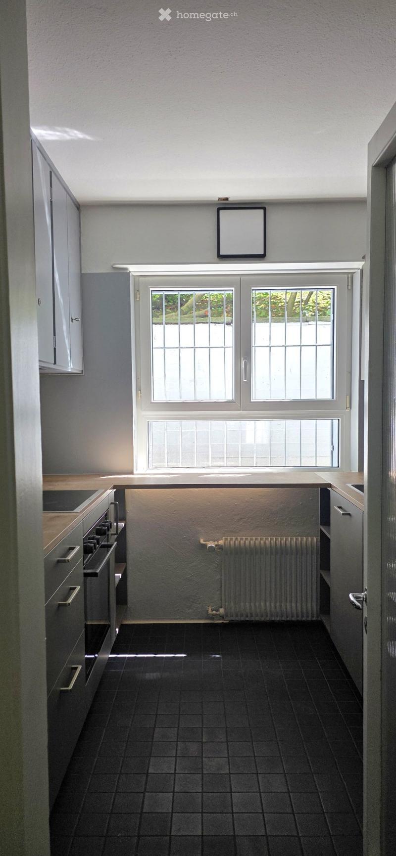 Grosse 2.5 Zi Whg mit Garten /gedecktem Sitzplatz und Kamin (4)
