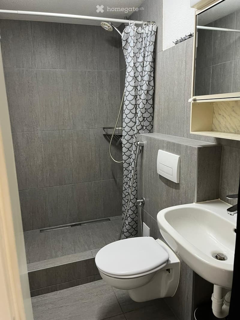 KLEINES STUDIO IN 4553 SUBINGEN ZU VERMIETEN 750.- (4)