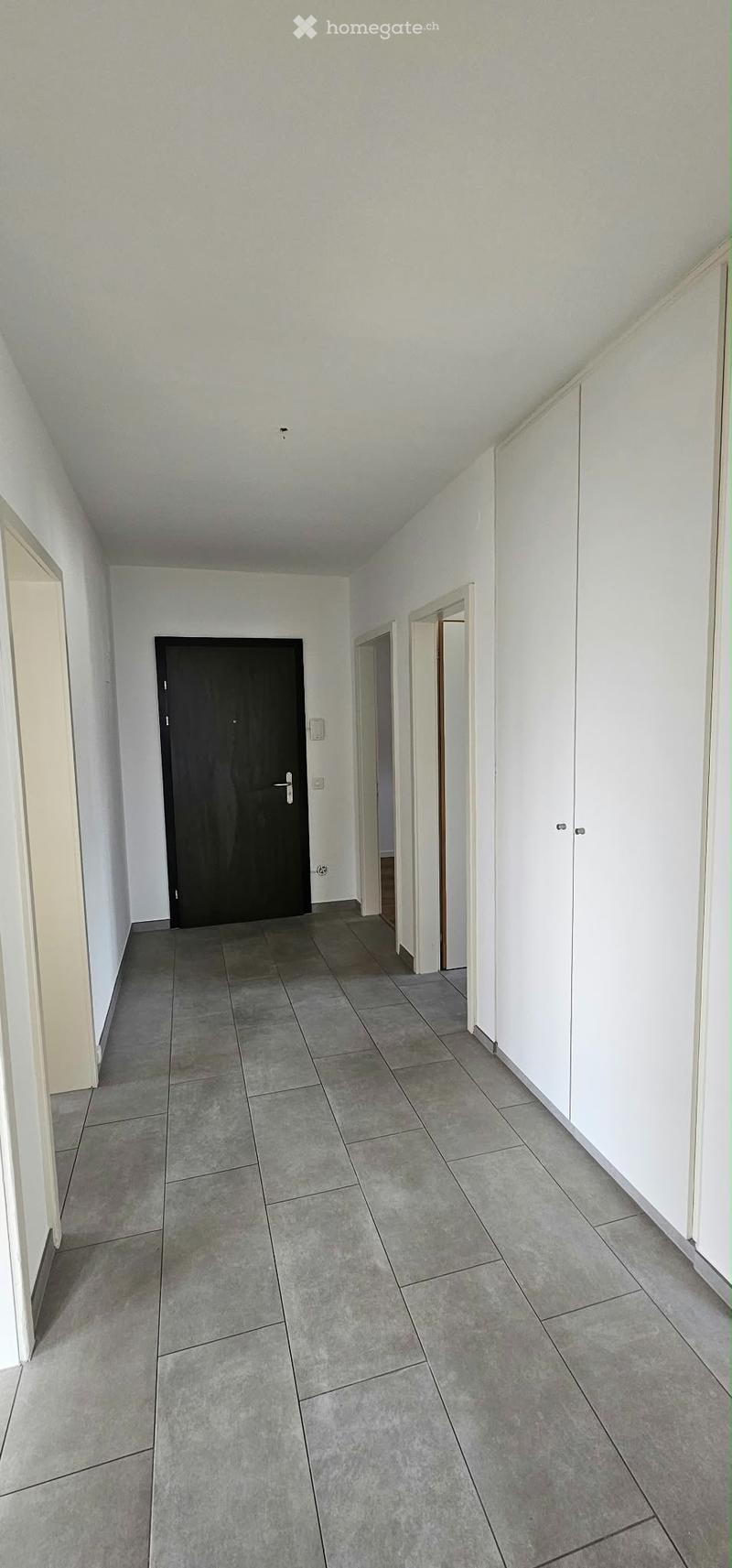 APPARTAMENTO 4.5 locali a Tenero (4)