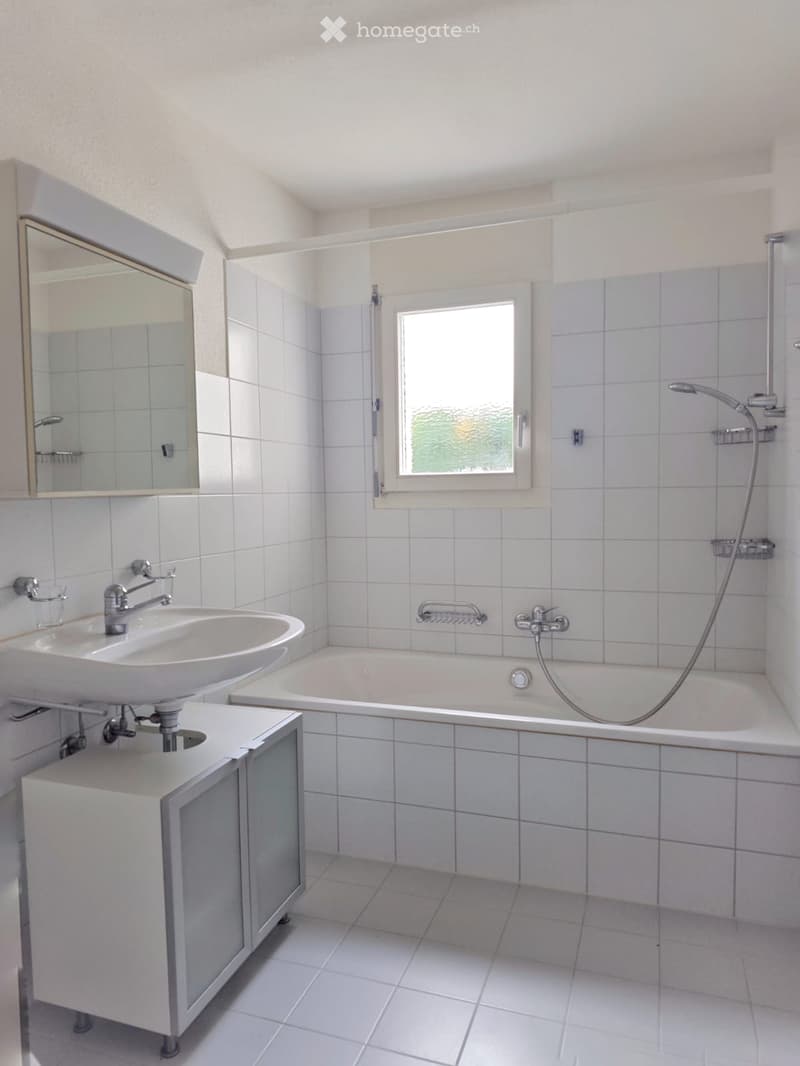 5.5 Zimmer Wohnung in Hedingen (5)