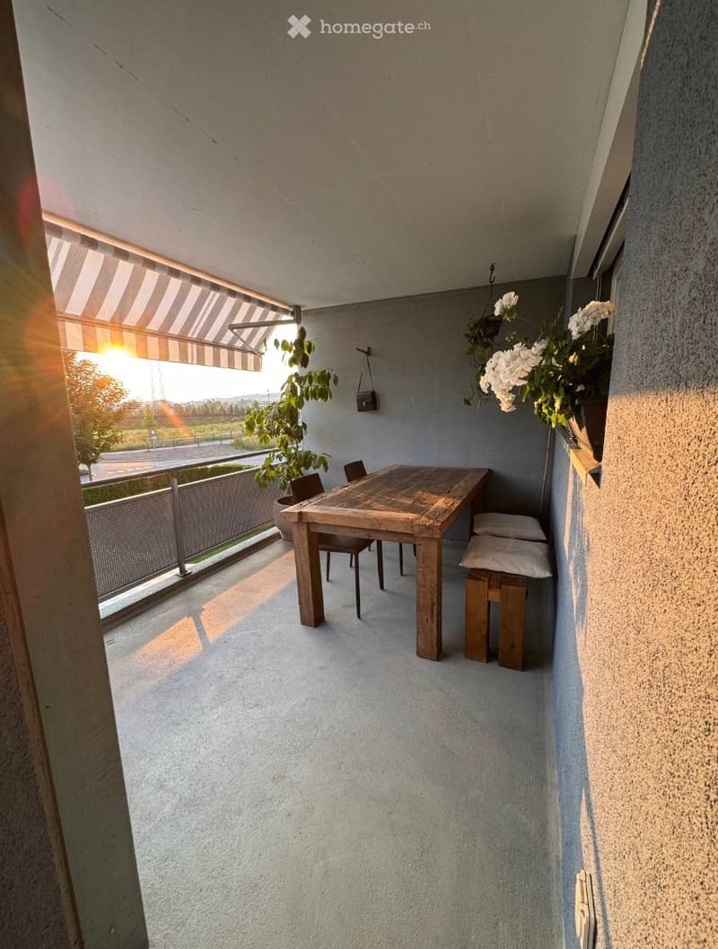 Apartment Lease Takeover  4.5-Room Apartment in Baar (5)
