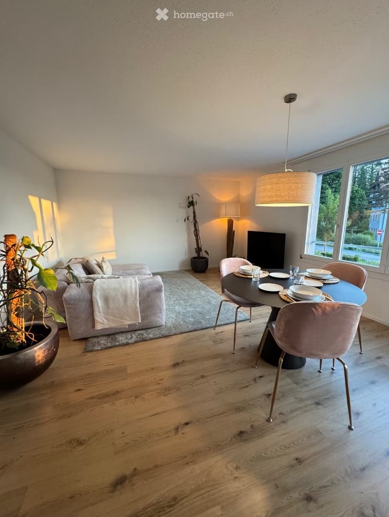 Apartment Lease Takeover  4.5-Room Apartment in Baar (4)