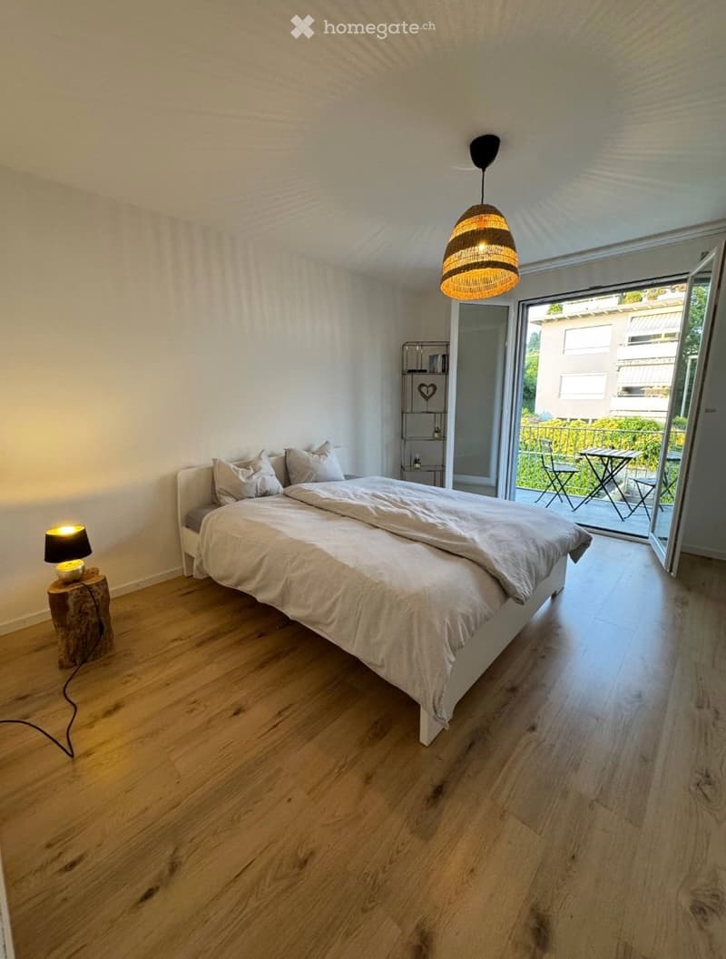 Apartment Lease Takeover  4.5-Room Apartment in Baar (3)