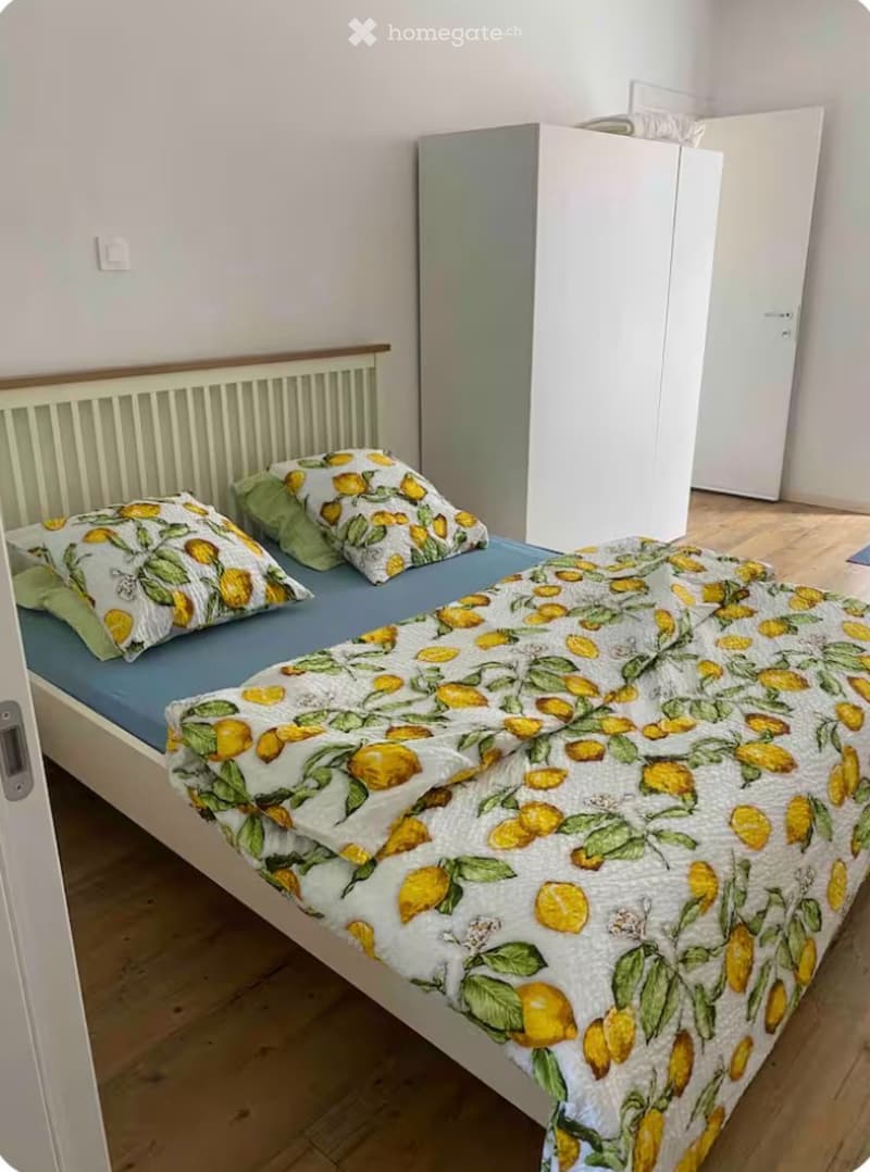Affitto appartamento ammobiliato a Solduno (3)