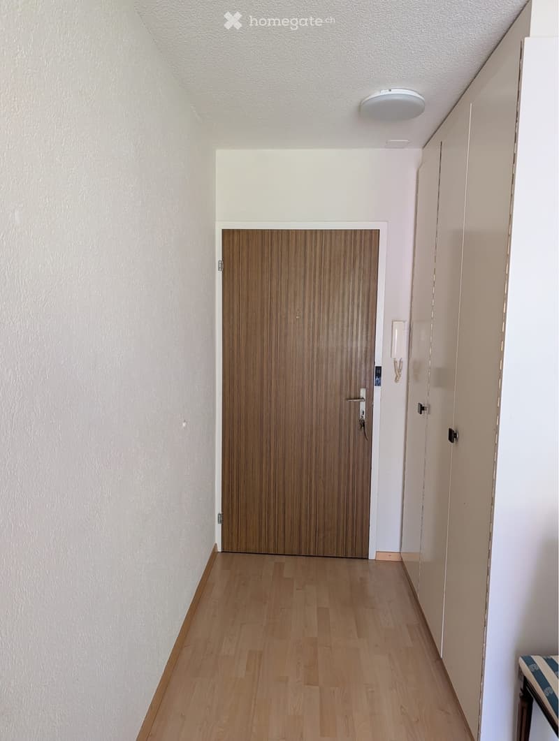 Nachmieter:in für helles Studio in Bern gesucht (5)