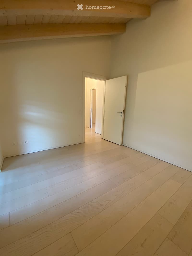 Luminoso 3.5 a Lugano con garage, cantina e spese incluse (4)