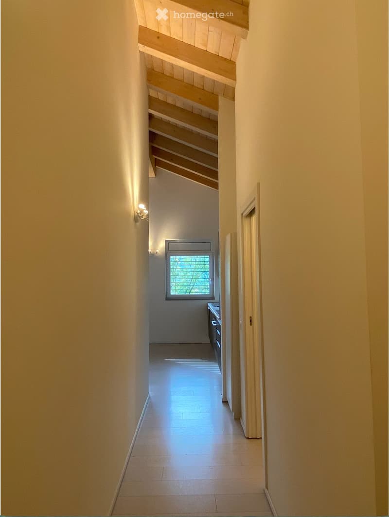 Luminoso 3.5 a Lugano con garage, cantina e spese incluse (5)