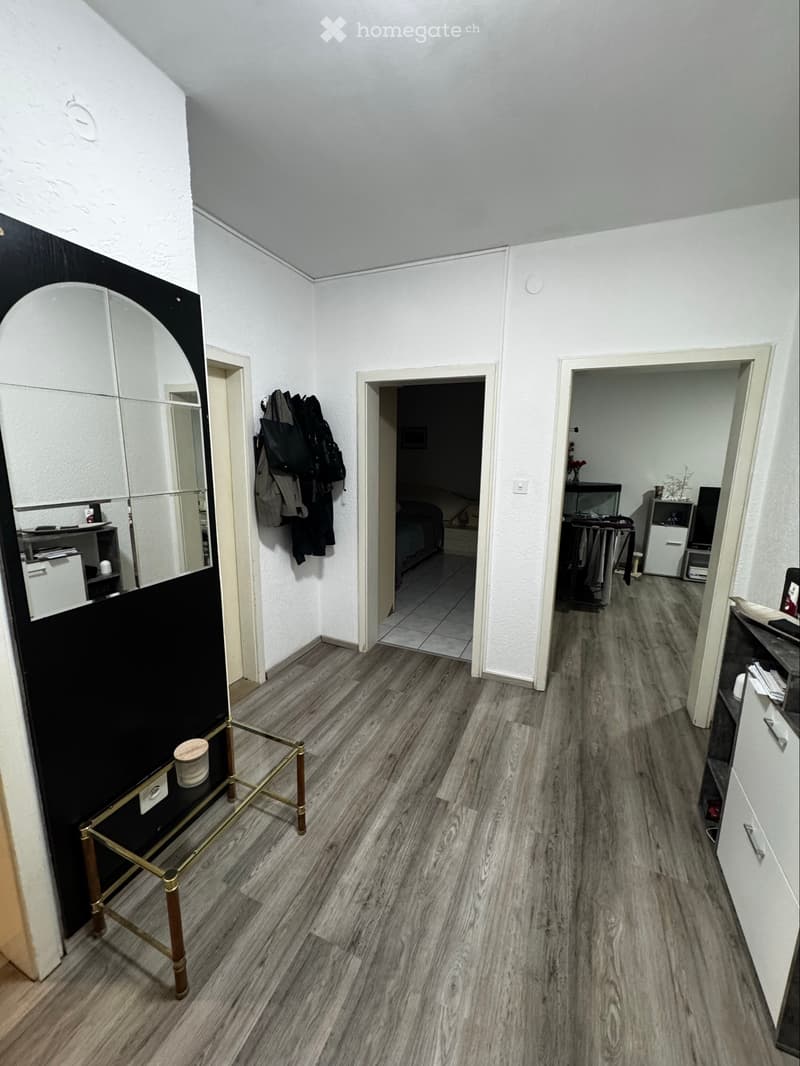Subentrante 3,5 ad Arbedo (3)