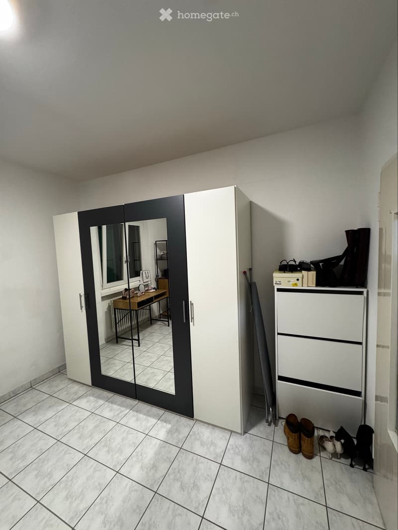 Subentrante 3,5 ad Arbedo (5)