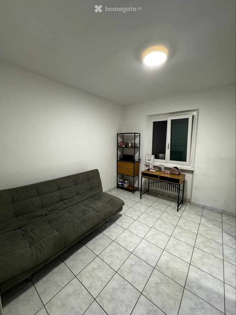 Subentrante 3,5 ad Arbedo (6)