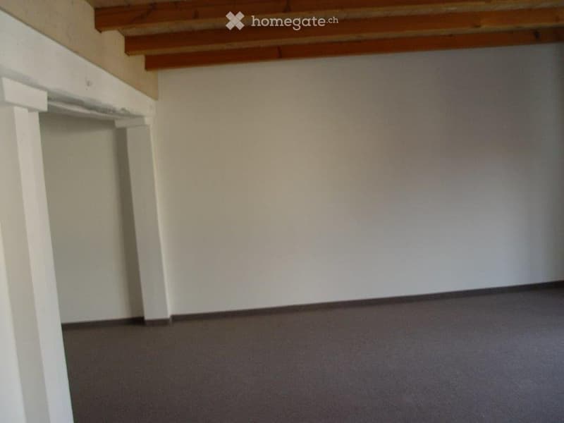 Schöne 2,5 Zimmer Wohnung mit Autoabstellplatz + Kellerraum (3)
