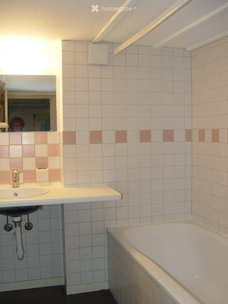 Schöne 2,5 Zimmer Wohnung mit Autoabstellplatz + Kellerraum (4)